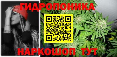 прущая мука Пугачёв