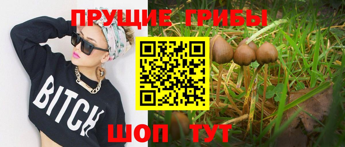 Псилоцибиновые грибы Magic Shrooms Самара