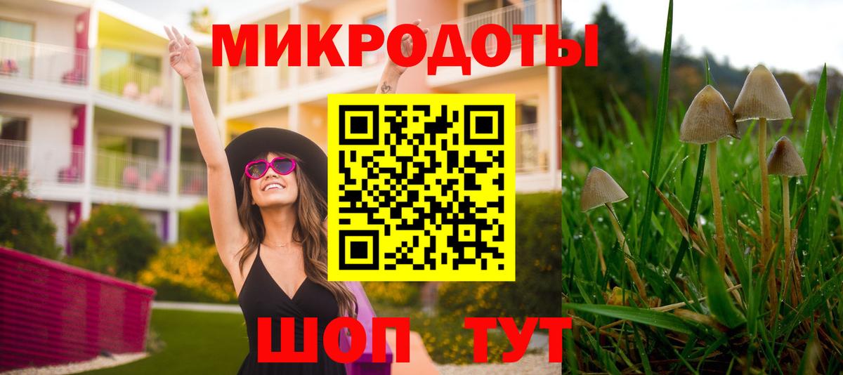 Галлюциногенные грибы Psilocybe  Вход с VPN  Галлюциногенные грибы мухоморы  Самара 